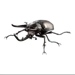 カプセル版　コーカサスオオカブト　ジャワ島