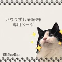 いなりずし5656様専用ページ