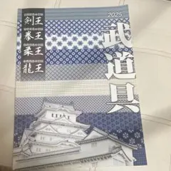 非売品 レア 第16回世界剣道選手権大会 井上雄彦氏デザインポスター