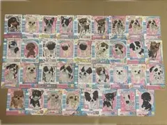 2026年最新】ワンタメカード レアの人気アイテム - メルカリ