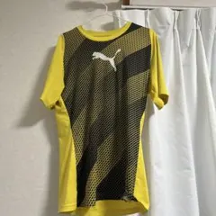 Item thumbnail for item 8ae96a4e-5f6a-4783-96b5-fa9e36533a3c