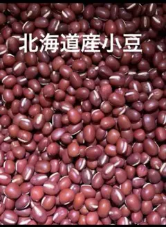 くみちゃん様専用　あずき　小豆　北海道産　乾燥野菜　豆類　ドライパセリ