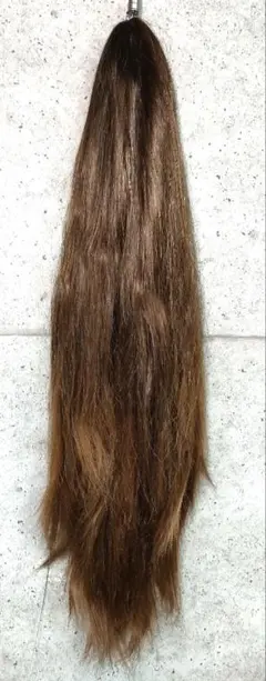 Item thumbnail for item afbb7d32-00fe-489a-bf68-dd34a5284045