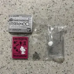 サンリオキャラクターズ 豆ガシャ本 プロフィール帳 チャーミーキティ