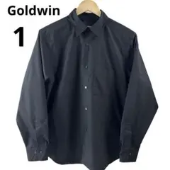 2026年最新】GOLDWIN メンズ シャツの人気アイテム - メルカリ