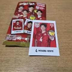中身確認のみ　キャラポトレ　宮浦健人　男子バレーボール　カード