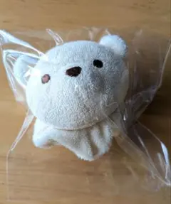 손목용 베어 카란 콜론