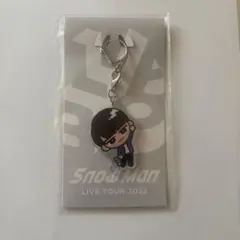 Snow Man LIVE TOUR 2022 アクリルキーホルダー 渡辺