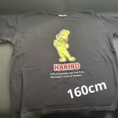 ハリボー Tシャツ 160サイズ 黒