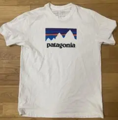 patagonia パタゴニア Tシャツ M ホワイト 2枚セット
