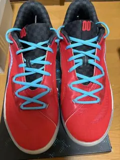 Puma All-Pro NITRO “Scoot PE” 28.0cmのサムネイル