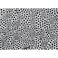 『 Leopard faces 』by Gayoのサムネイル