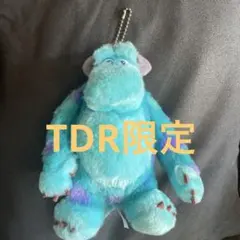 TDR限定 サリー ぬいぐるみバッジ モンスターズインク
