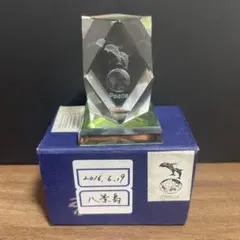 八景島 イルカ 地球 3Dクリスタル 置物のサムネイル