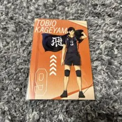 ハイキュー 影山飛雄