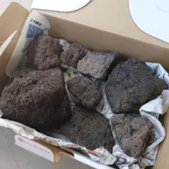 【即購入ok】浅間溶岩石　浅間石　溶岩石　　アクアリウム　軽井沢　ビオトープ