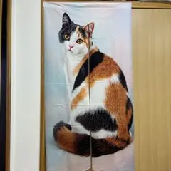 三毛猫 のれん