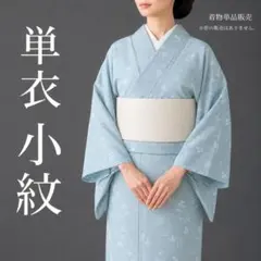 【F6-77】着物 小紋 単品 単衣 水色 対象身長～156cm 夏季にも◎のサムネイル