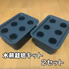 水耕栽培キット（6穴タイプ)× 2セットのサムネイル
