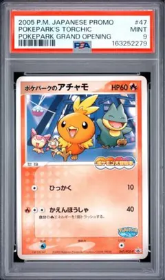 t47 psa9 ポケパークのアチャモ ミズゴロウ PROMO PCG-P