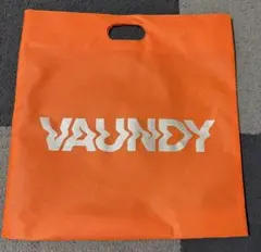 2026年最新】国内アーティスト：Vaundy ミュージシャン バッグ・ポーチ
