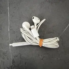 Apple EarPods with Lightning Connector