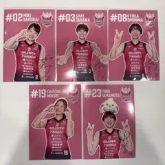 Item thumbnail for item 5aff96a9-3047-4a59-b0fb-3a7a2bc252f9