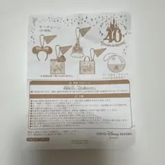 東京ディズニーリゾートカプセルトイ 40周年記念 キーホルダー