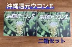 2026年最新】沖縄還元ウコンの人気アイテム - メルカリ