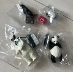 タニタ×パンダの穴　今日は何キロ？