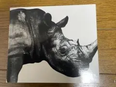 Item thumbnail for item a19ee686-f032-48ac-91ec-fb18f2477caa