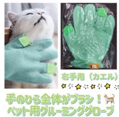 Item thumbnail for item 01d46cb2-4dc7-47c9-bd0d-757d1740dd2d