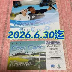 2026.6년까지 피스 헤이와 쿨 카트 할인권 1매