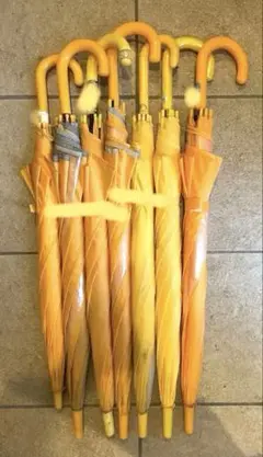 Item thumbnail for item db0040b5-bcc5-4f99-8dc2-d982549019b9