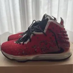 NIKE LEBRON ナイキレブロン17 アップテンポ 27.5センチ