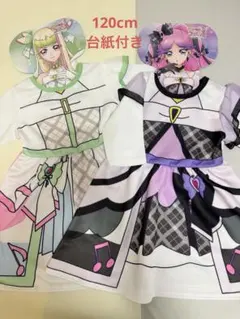 Item thumbnail for item 6efef088-d773-42f9-bd0d-fdc93a63fb2a