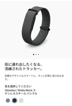 Google Fitbit Air プレミアム モダンバンドのサムネイル