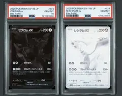 ブラック　ホワイト　ゼクロムex bwr レシラムex bwr psa10 連番
