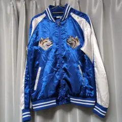 Item thumbnail for item 4240c4eb-f6ef-420f-9e56-bd458fcd9c34