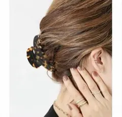 Item thumbnail for item d8a5a724-2955-45e0-b415-013e2851a78e