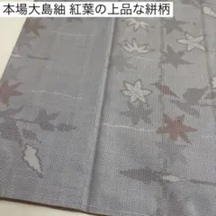 本場大島紬 紅葉の上品な絣柄 正絹 AK-8655