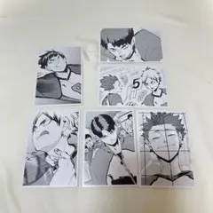 ハイキュー クロニクル フォトカード 白鳥沢