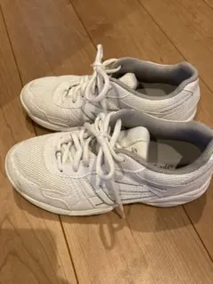 Item thumbnail for item b0b0c165-2557-41a5-9635-bf72284e1fef