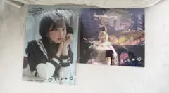 FRUITS ZIPPER 松本かれん クリアファイル