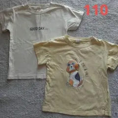 プティマイン　犬柄 Tシャツ 2枚セット