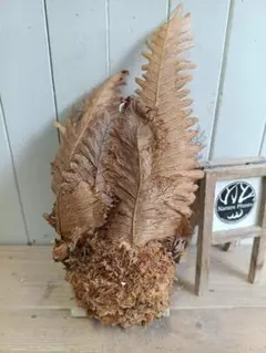 1091様 リクエスト 5点 まとめ商品