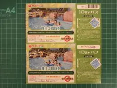 東京サマーランド 株主優待券 株主ご招待券 2枚　★★★★のサムネイル