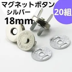 Item thumbnail for item 41165e62-4725-4f69-bea7-6e87b989d336