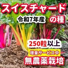 たあこ様 リクエスト 2点 まとめ商品