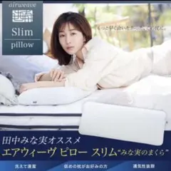 【カバーセット】田中みな実　エアウィーヴピロー　枕　枕カバーセットのサムネイル